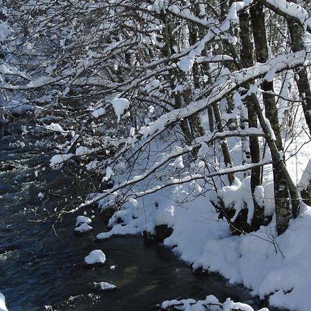 Hotel Et Spa Le Vermont Льо Гран-Борнан Екстериор снимка